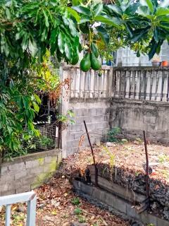 Maison avec terrasse près de Saint-Leu – 100 m² avec jardin - Saint-Leu - 6