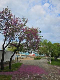 Studio Garden City Center Pomorie - 1
