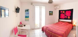 Studio avec terrasse à Capesterre-de-Marie-Galante 20 m² vue mer - 7