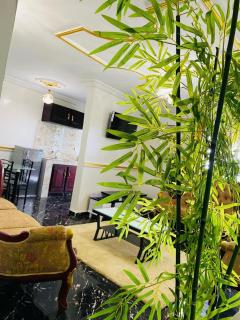 Golden fortune Hotel apartment - 9
