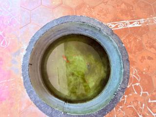 Gravity Groups Core - Pannai Veedu - 4