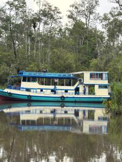 Orangutan Shankara Houseboat with 2 cabin - 6