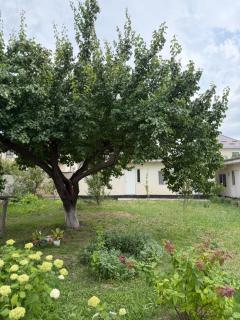 Chika Guesthouse - 8