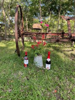 Gwizo Farm Lodge - 1