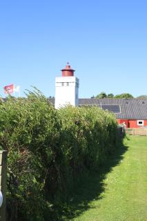 Egelunds Camping & Cottages - Lønstrup - 4