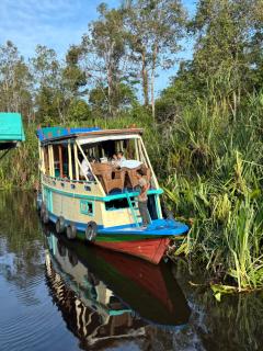 Kelotok Orangutan Tanjung Puting - 3
