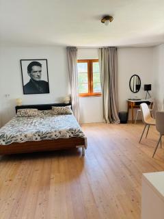 See Apartment Traunsteinstrasse - 1