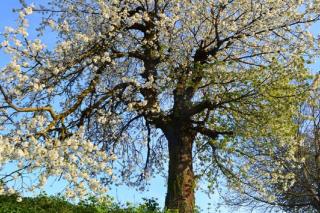 Brunnenhof Familie Hiss - 4