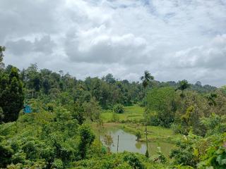Angel Homestay - 9