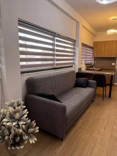 ER BnB Twin Apartments - 6