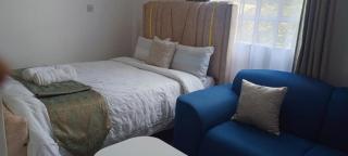 Cozy Riruta Kawangware studio -Njonde Apartments - 6
