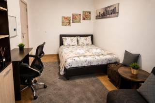 Comfortable Room in The City Centre - 9