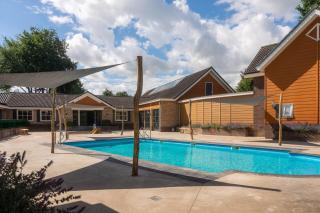 Modern Veluwe Chalet with Indoor and Outdoor Pools and Air Conditioning - 9