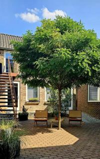 Auberge A gen Kirk B&B - 5