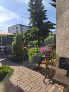 Apartament Oaza - 5