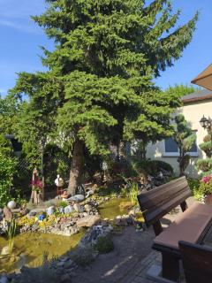 Apartament Oaza - 6