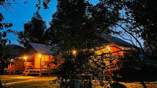 Tarzan Bamboo hut - 1