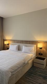 فندق أيكون ان - Riad - 5