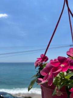Sea La Vie Anesti - 3