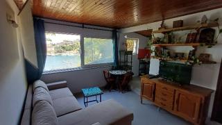 kiwi haus - 3
