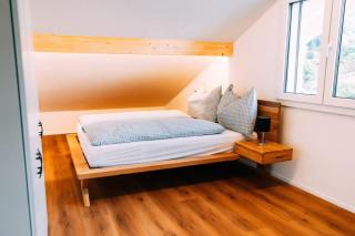 Cozy Apartment with stunning Views in Boenigen - 2