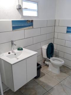 Studio avec piscine privée à Le Vauclin, 24 m² - 1