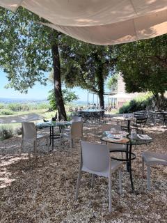 La casa del tartufo - 7