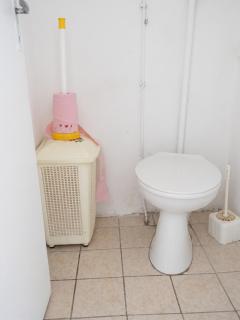 Maison de charme à Teyssieu avec cheminée et jardin. - 1