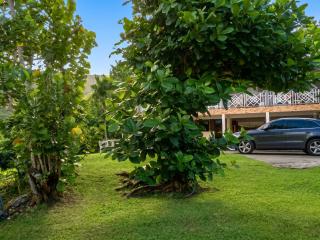 Appartement cosy au bord de la mer, 30 m², 2 pers. - 2