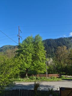 Guest house gloria - 4