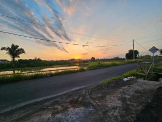 Kala Senja Guest House - 1