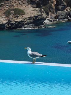 Paradise Place Sifnos - 5