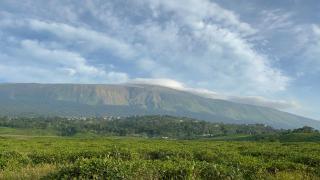 Comfortable Room in Buea with Mountain Views - 1