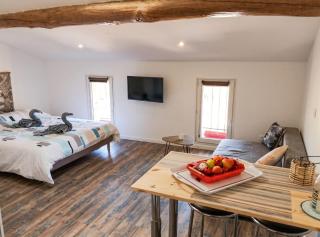 Studio charmant à Saint-Jory, 25 m², piscine partagée - 6