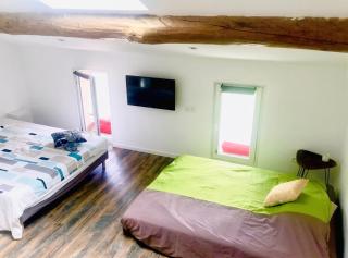 Studio charmant à Saint-Jory, 25 m², piscine partagée - 4