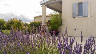 Studio accueillant avec piscine à Cabrières-d'Avignon 40 m² - 2