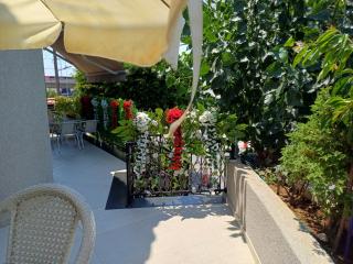 Nikola's House - 5