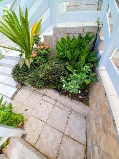 Appartement cosy à Deshaies avec balcon - 35 m² - 7