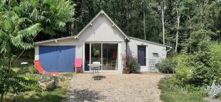 Le bois des Mottouses - 2