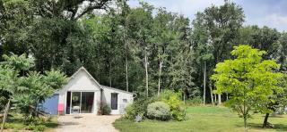 Le bois des Mottouses - 1