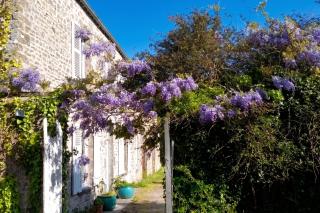 Maison élégante à Fontenay-sur-Mer avec cheminée - 1