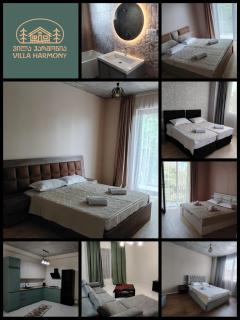 Villa Harmony Tianeti - 0