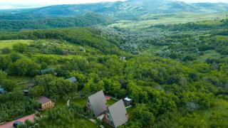 Arta Chalet - A-Frame Cabins & Nature Retreat - 9