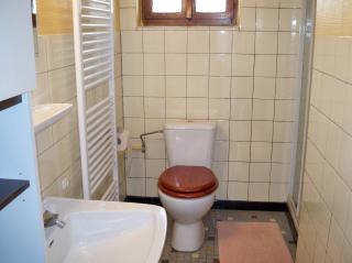 Appartement charmant à Jebsheim avec terrasse et jardin - 3
