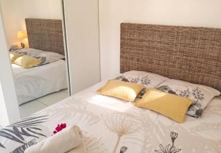 Bungalow confortable à Sainte-Anne, 30 m² avec jardin - 2