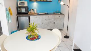 Studio confortable à La Trinité 30 m² avec vue mer et jardin - 5