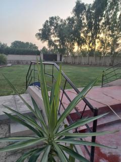 Bashir Greenery Farmhouse & Resort - 6