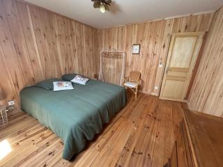 Golden Nest - 2