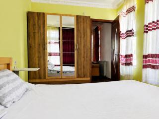 Golden palm - 8