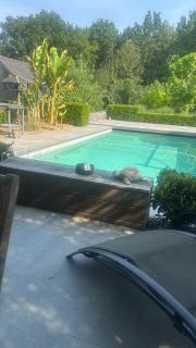logies 2460 - 2